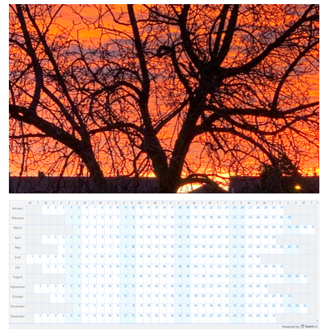 Customize and print your own 2020 calendars with personalized images, yearly or monthly.