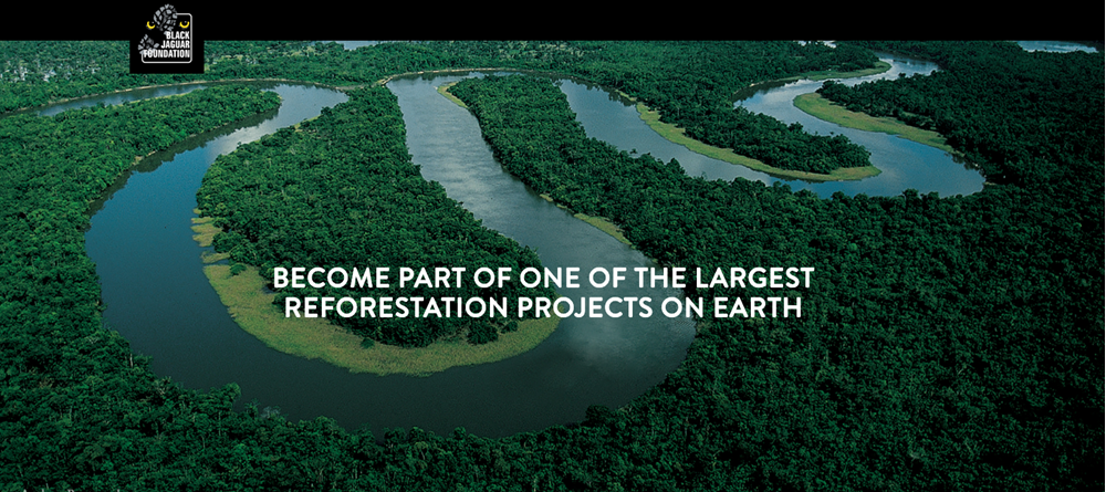 Black Jaguar Foundation - the largest reforestation project