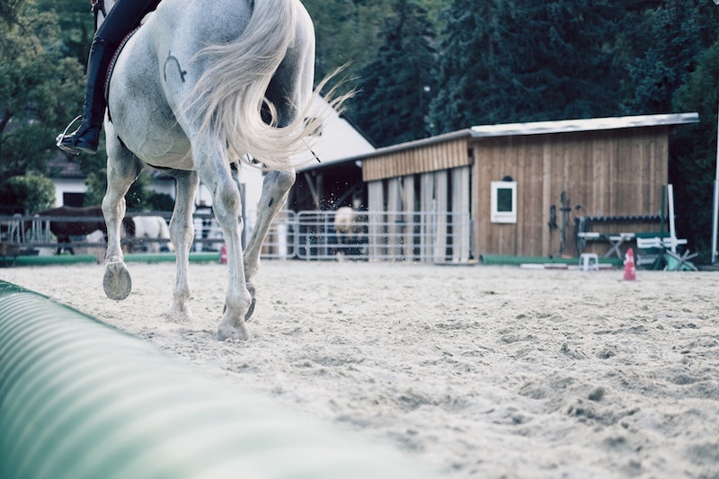 Manage visits to a riding stable